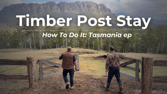 How To Install a Fence Stay Onto a Timber Post
