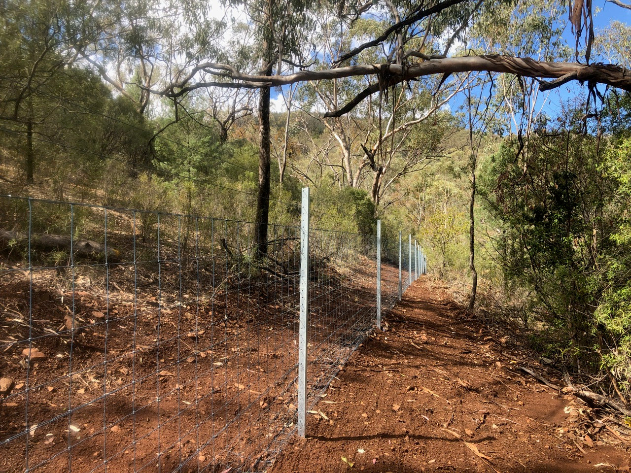 Exclusion Fencing – Walters Fencing